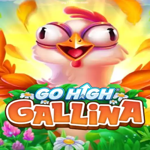 Exploring the Fascinating World of GoHighGallina: Discover Brazilian Online Gaming Excellence